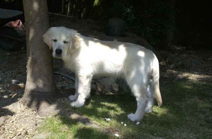 DSC_0005.JPG