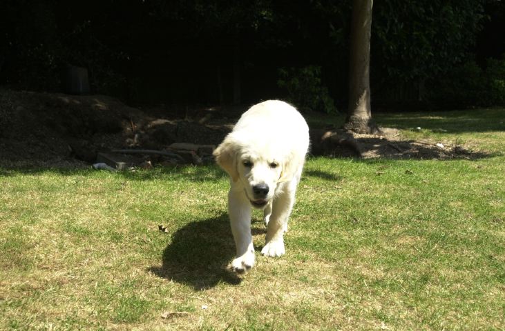 DSC_0006.JPG