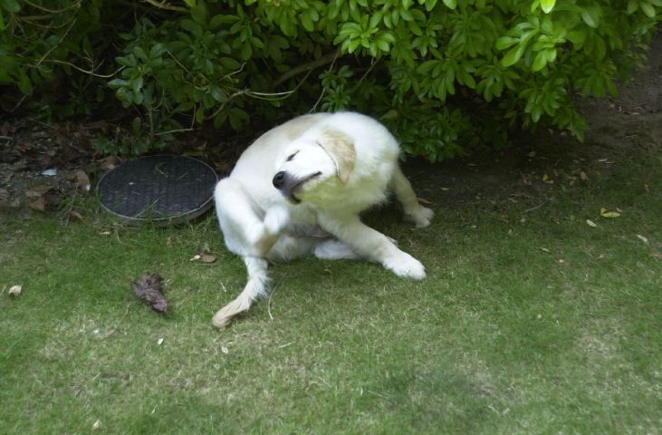 DSC_0007.JPG