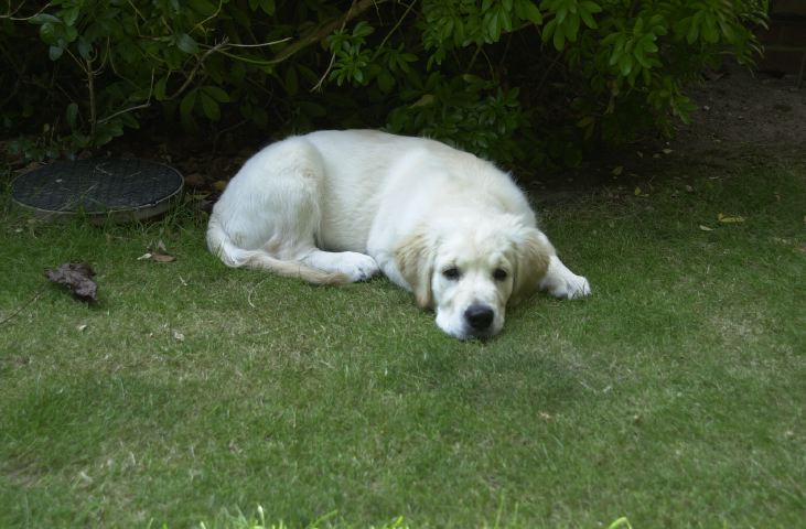 DSC_0008.JPG