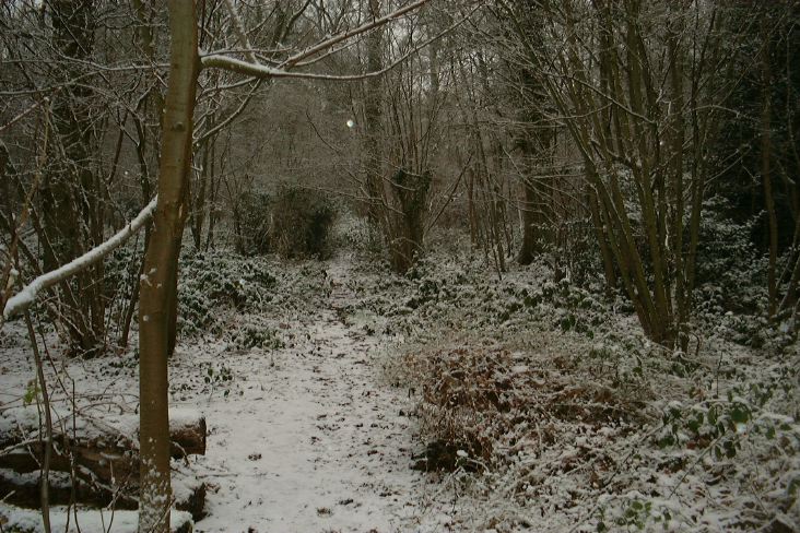 DSCF0018.JPG