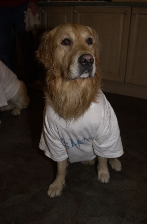 DSC_0006.JPG