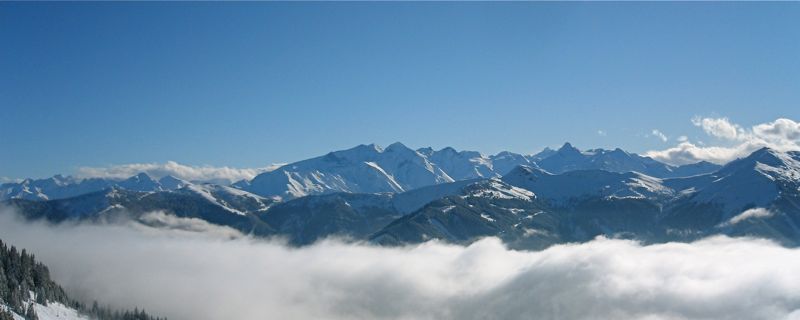 IMG_1336