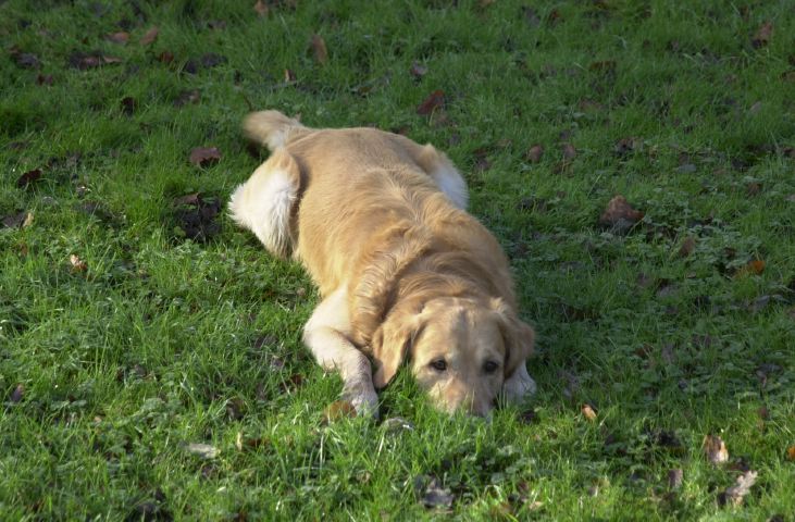 DSC_0053.JPG
