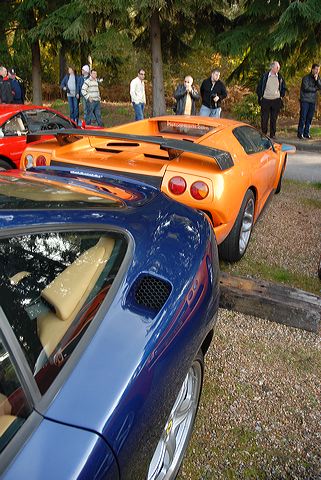d20_2600.jpg