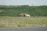 d20_3817