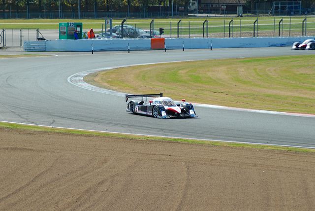 dsc_6344.jpg