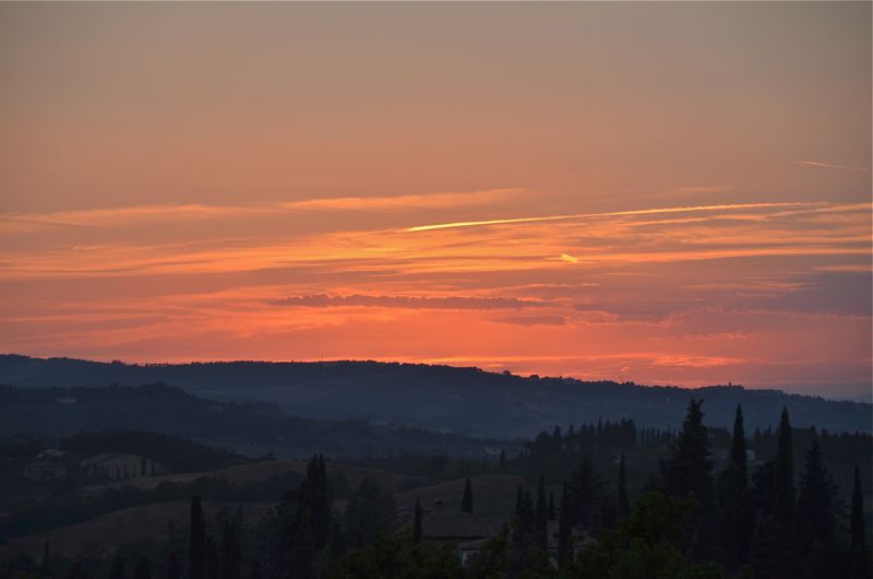 D7K_6688